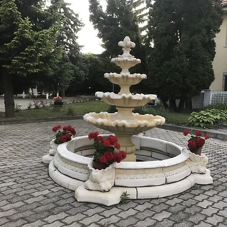 Rio51 *